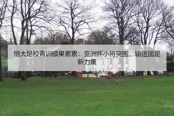 heng-da-zu-xiao-qing-xun-shuo-guo-lei-lei-ya-zhou-bei-xiao-jiang-tu-wei-shu-song-guo-zu-xin-li-liang-2-622.jpg