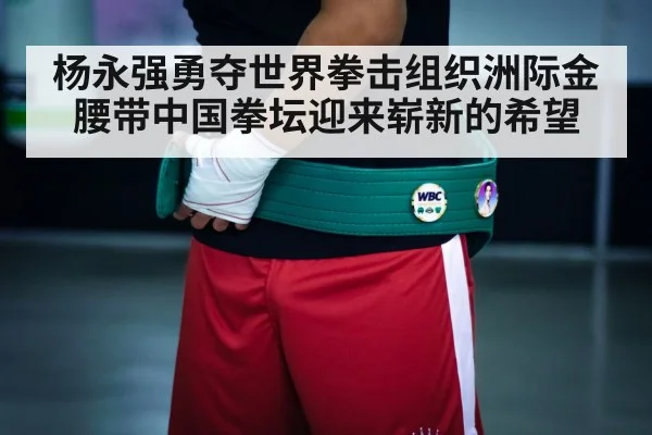 boxing championship belt