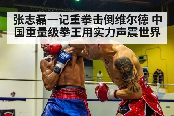 张志磊一记重拳击倒维尔德 中国重量级拳王用实力声震世界